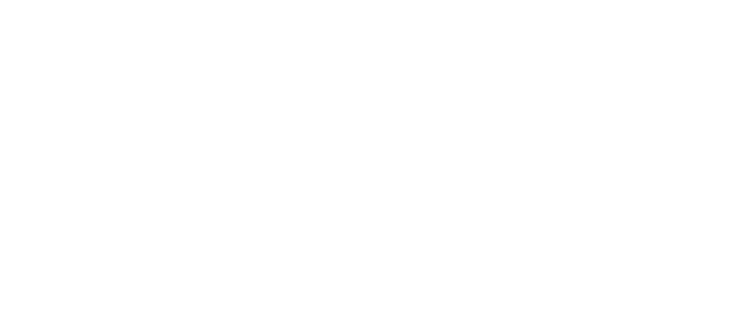 Professional Business Solutions